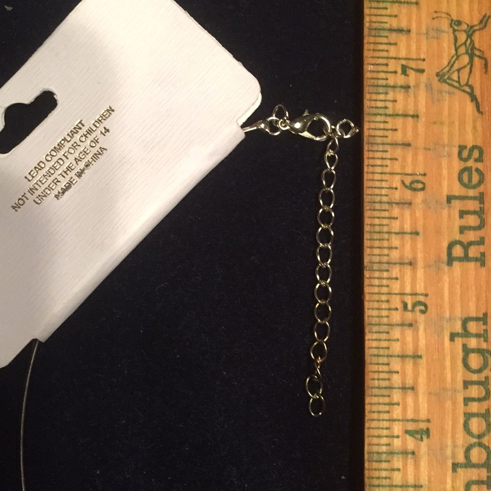 NWT Choker - Picture 6 of 7
